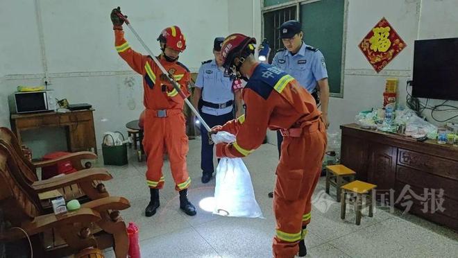 条“毒霸”入户藏匿之处让人胆寒AG旗舰厅网站首页深夜柳州两(图5)